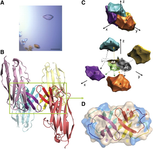 Figure 1.