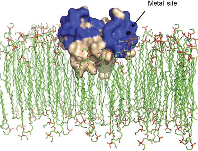 Figure 5.