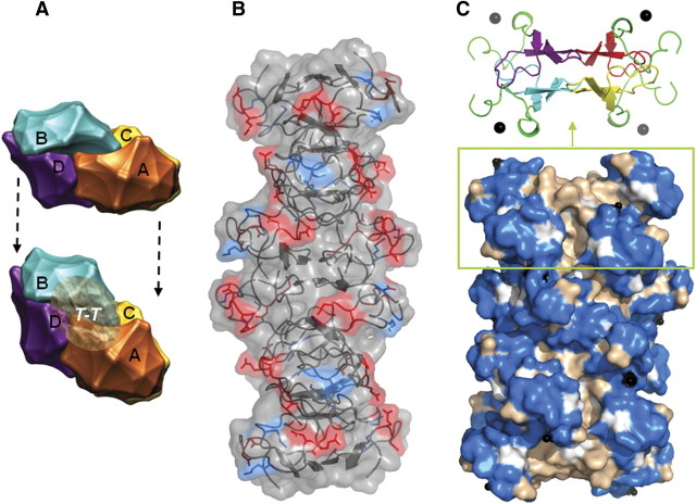 Figure 4.