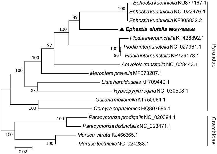 Figure 1.