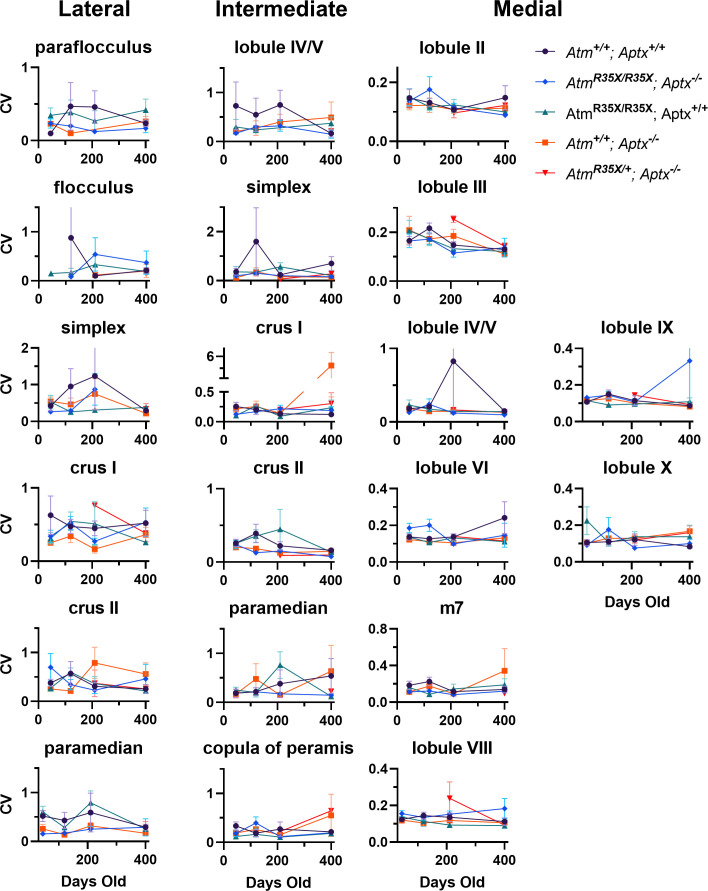 Figure 4—figure supplement 4.