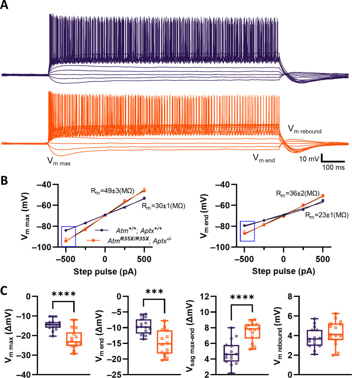 Figure 4—figure supplement 1.