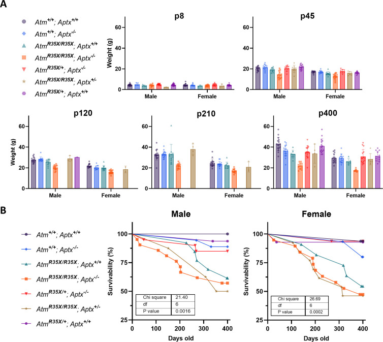 Figure 2—figure supplement 1.