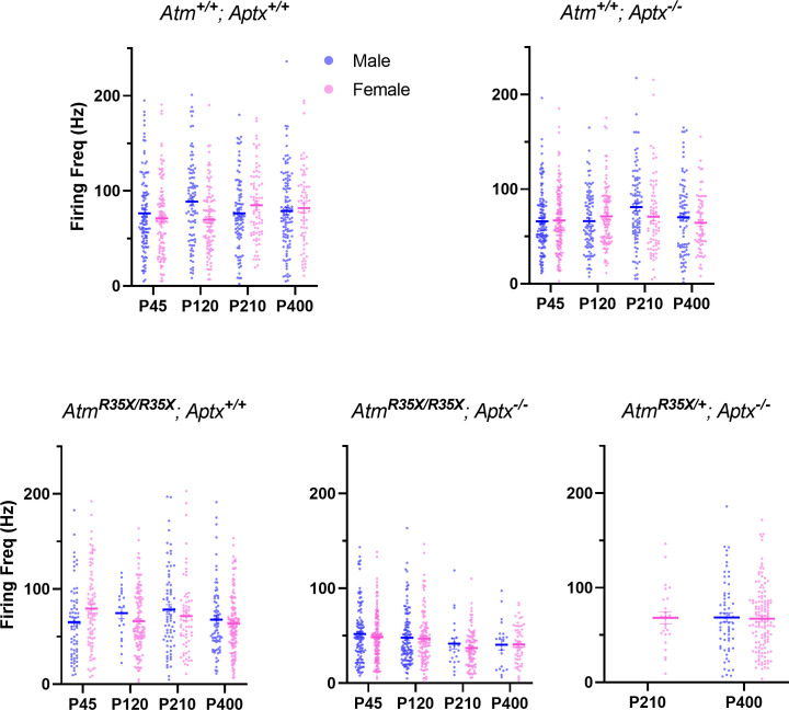 Figure 4—figure supplement 3.