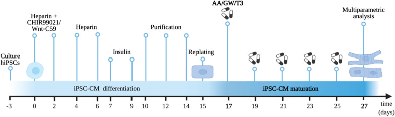 Fig. 2