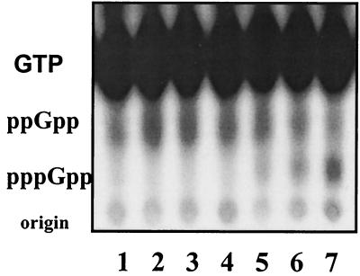 FIG. 7.