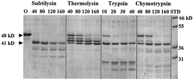 FIG. 1.