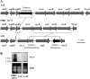 FIG 5