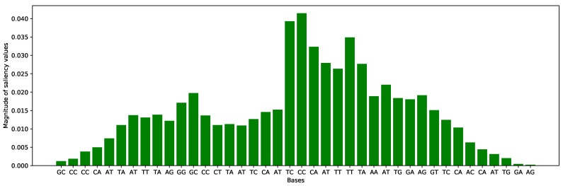 Figure 12