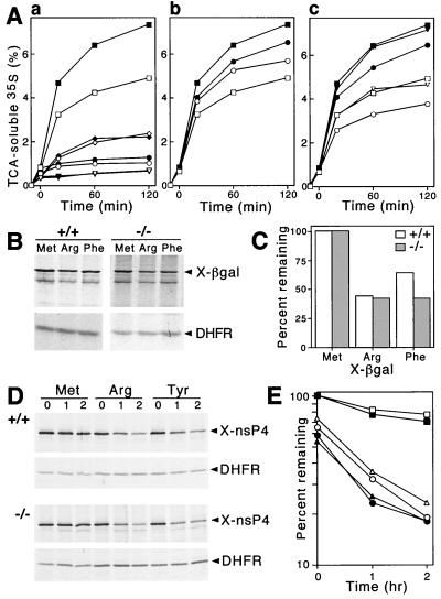 FIG. 7