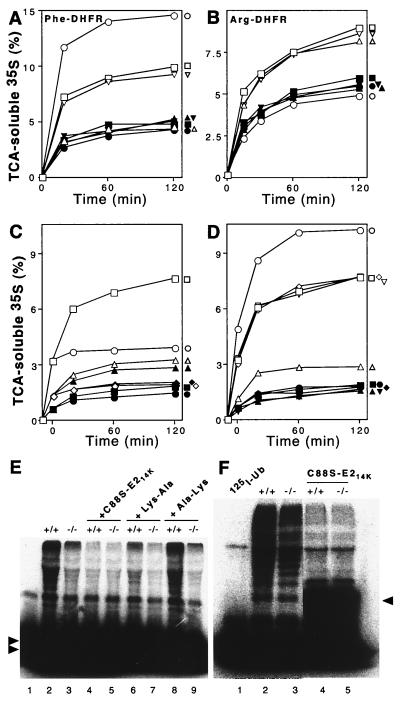 FIG. 6