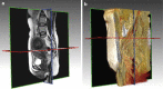 Fig. 4