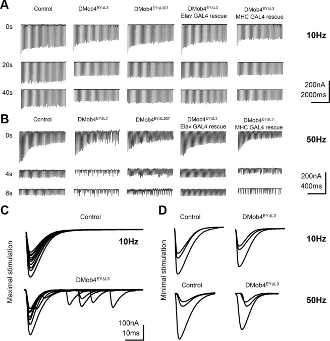 Figure 6.