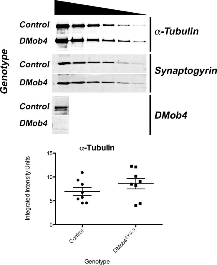 Figure 10.