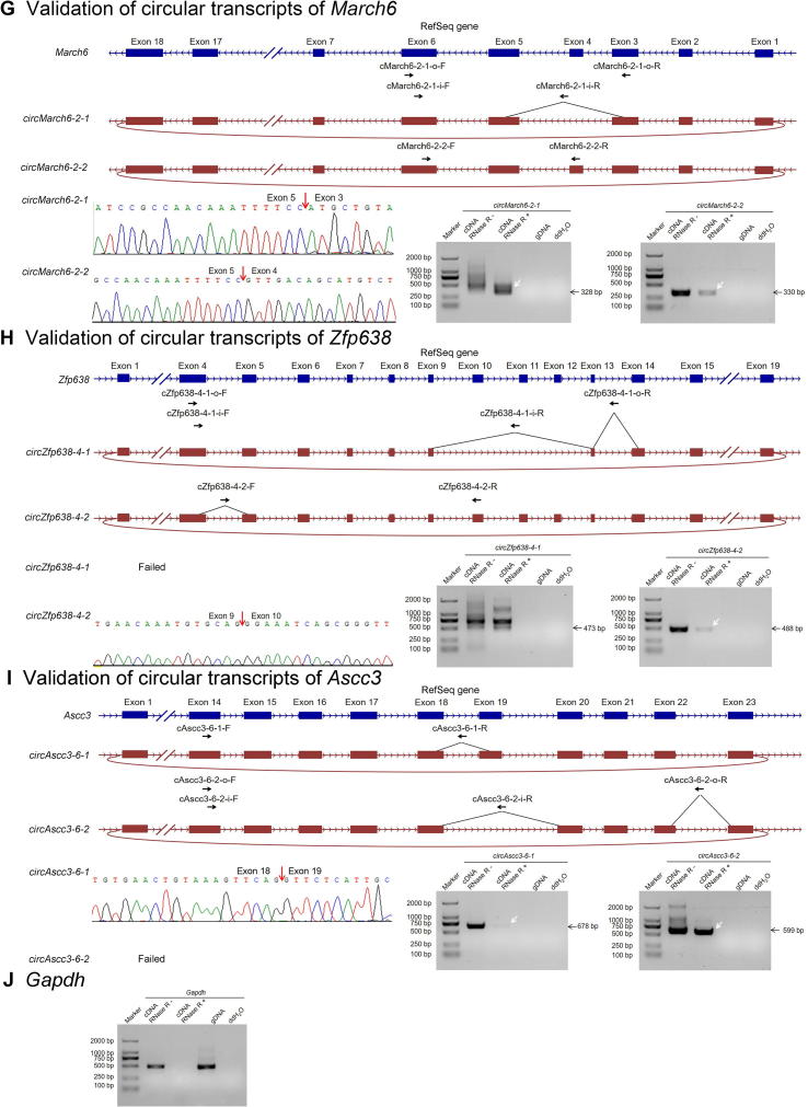 Supplementary Figure S6-3