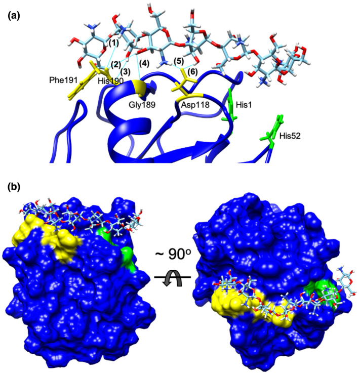 FIGURE 4