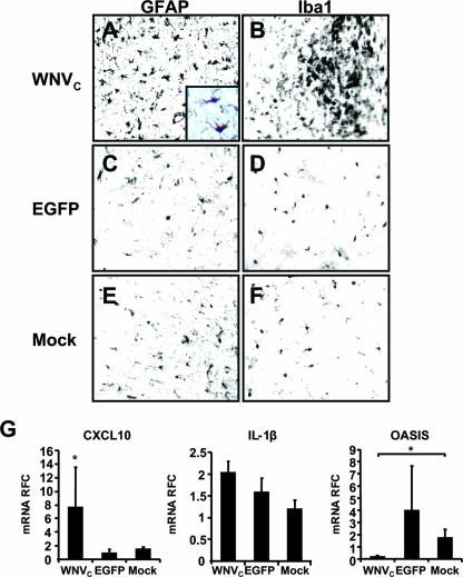 FIG. 8.