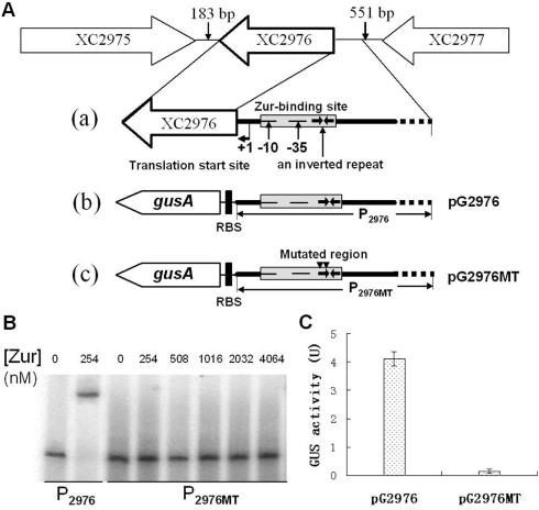 Figure 4.