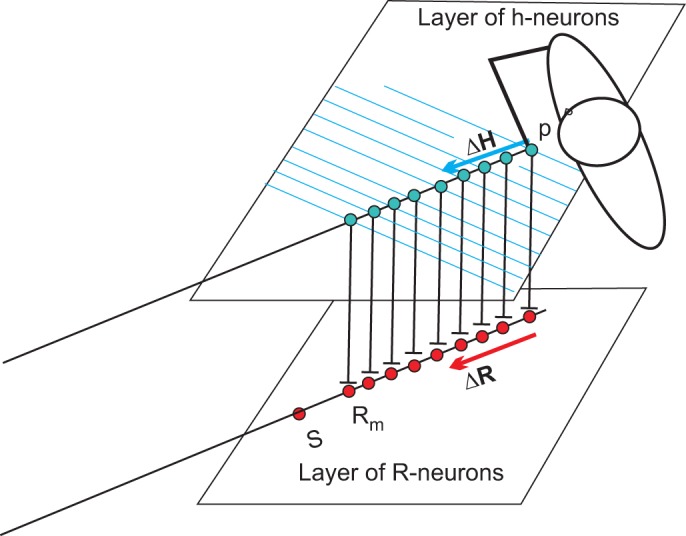 Fig. 8.