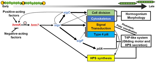 FIG 5