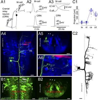 Fig. 4.