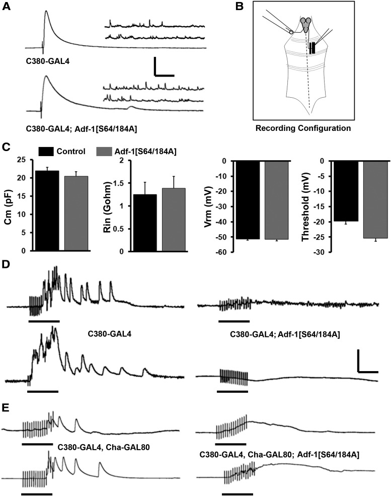 Figure 5.