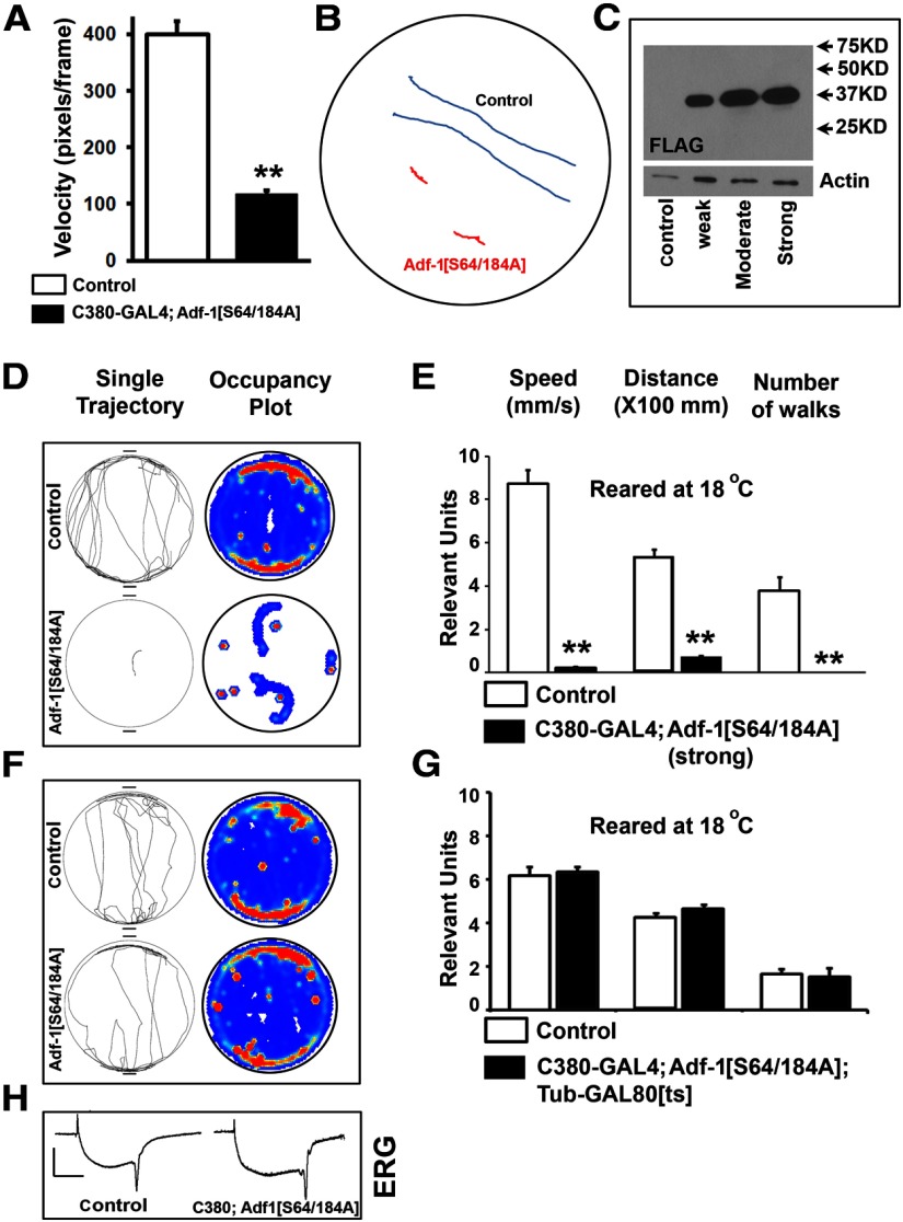 Figure 6.