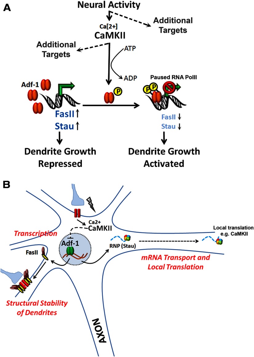 Figure 11.