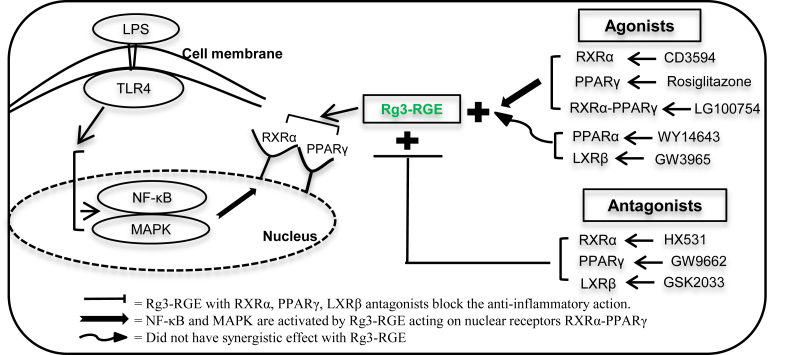 Fig. 6