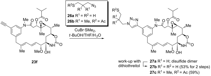 Scheme 8