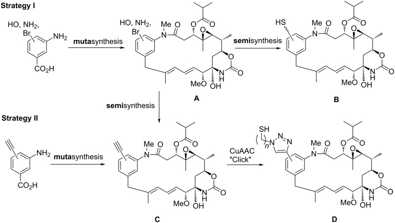 Scheme 3