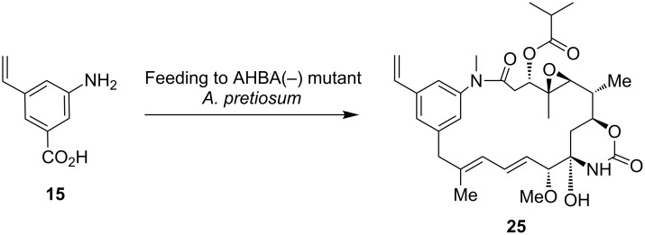 Scheme 7