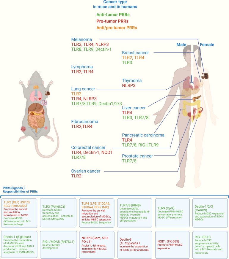 Figure 1