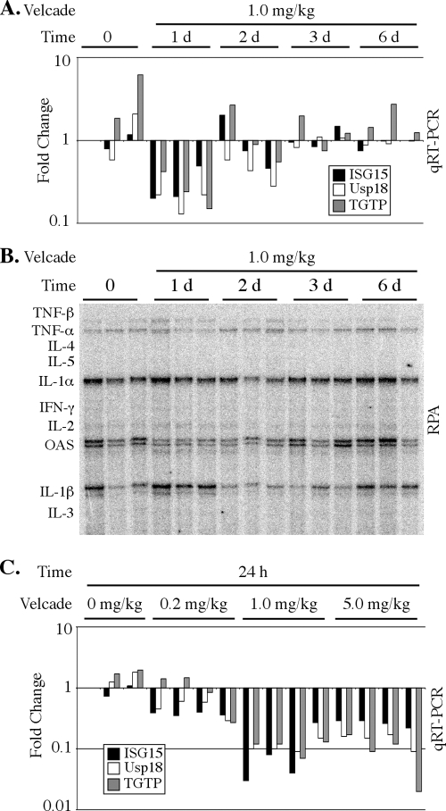 FIG. 6.