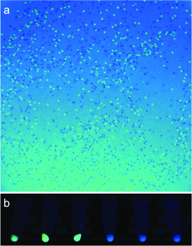 Figure 3. 