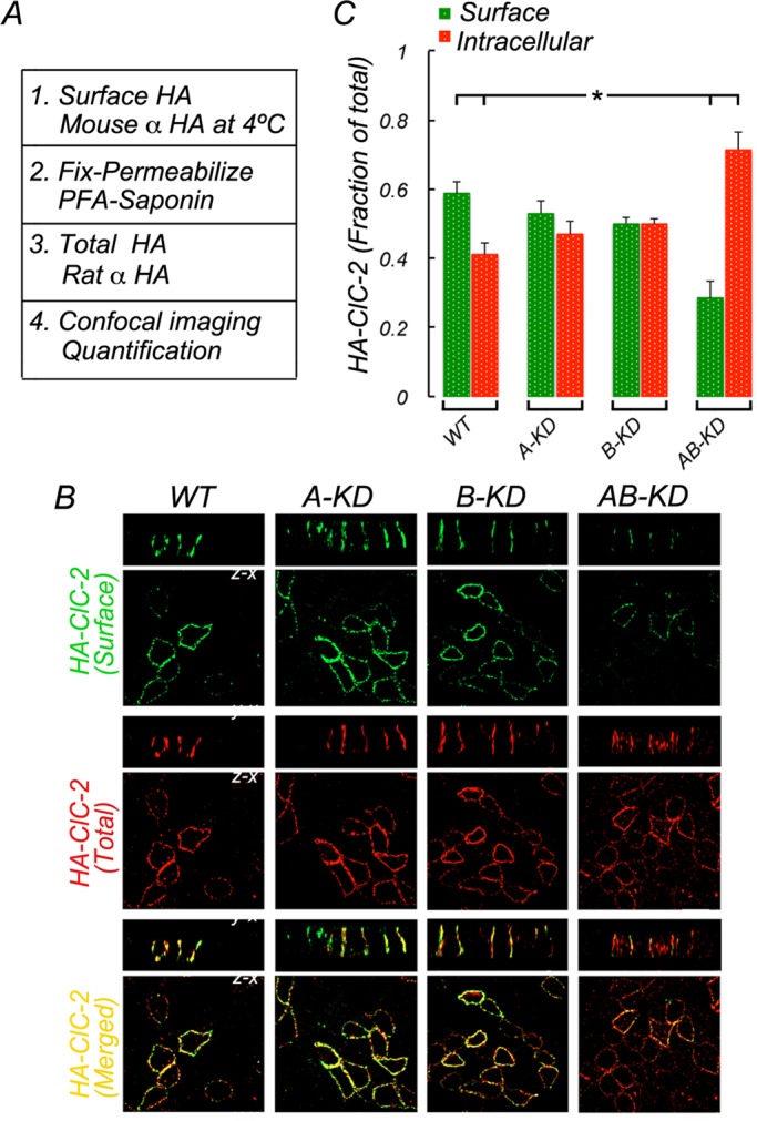 FIGURE 4: