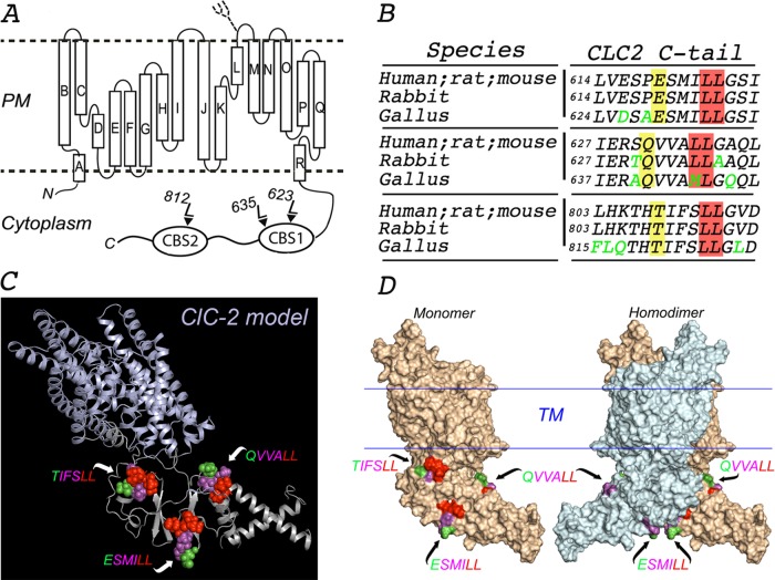 FIGURE 1: