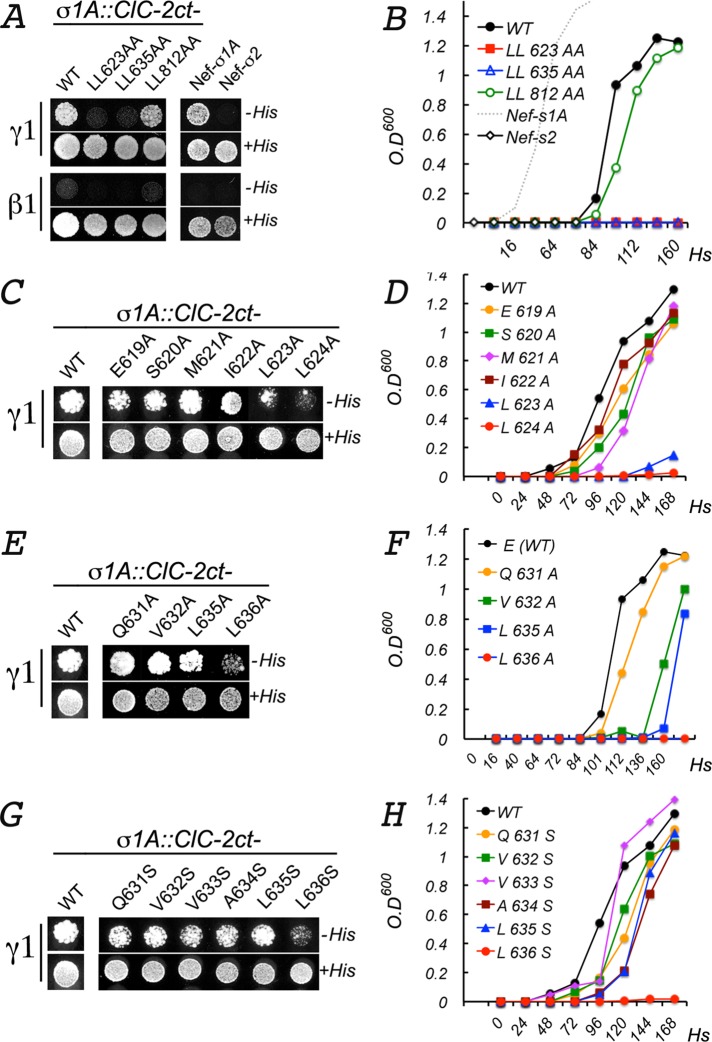 FIGURE 6: