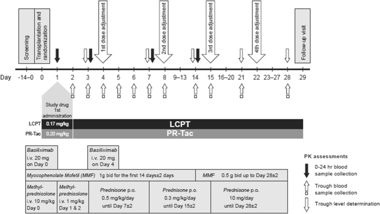 Fig. 1