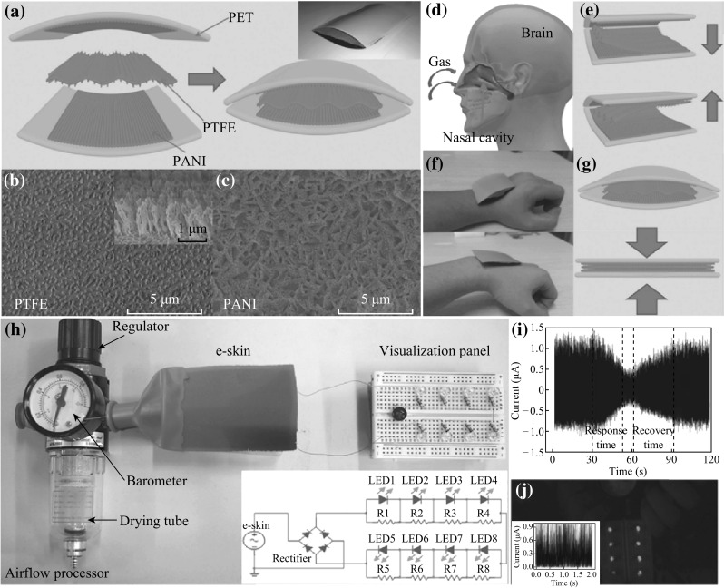 Fig. 10