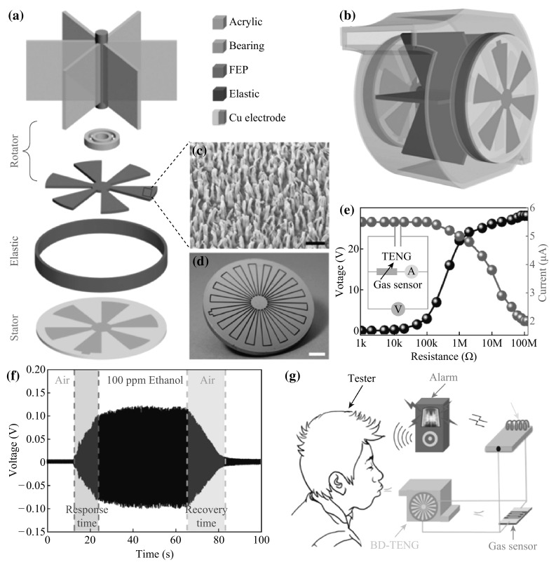 Fig. 11