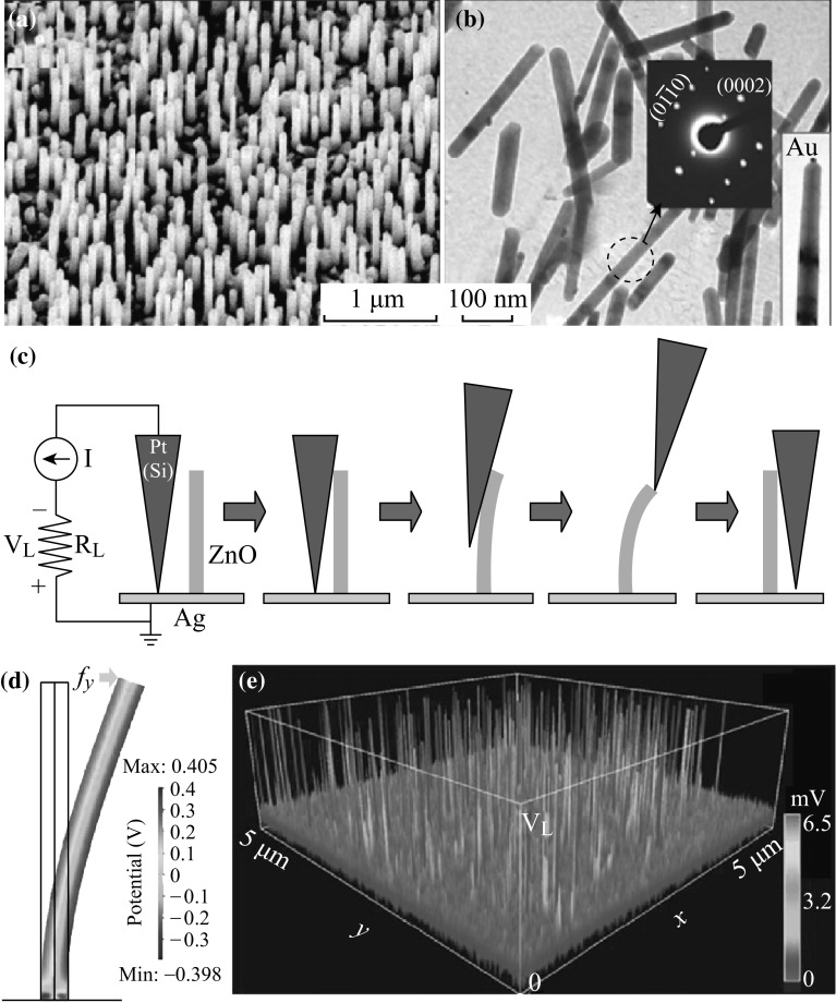 Fig. 1