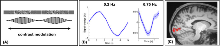 Fig. 8