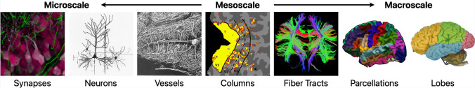 Fig. 1