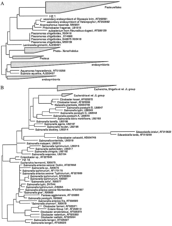 FIG. 2.