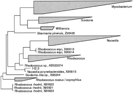 FIG. 3.