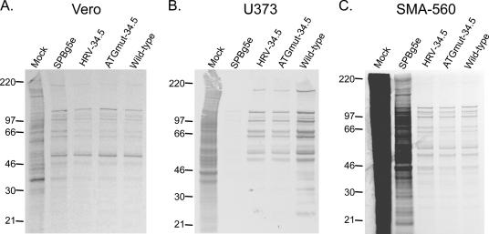 FIG. 3.