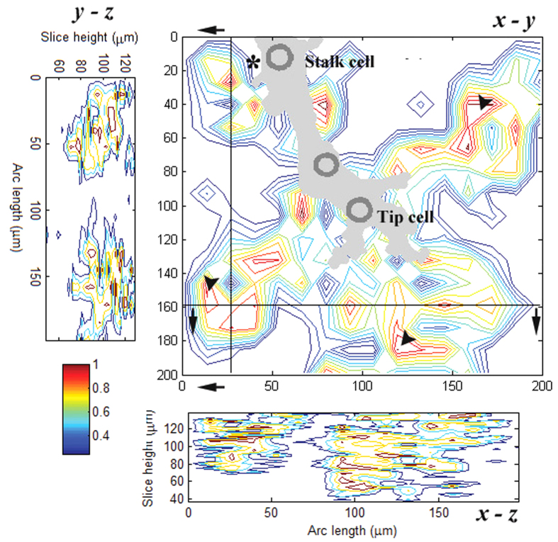 Figure 10