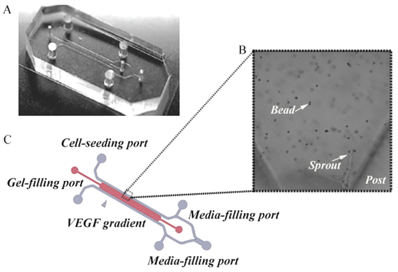 Figure 11