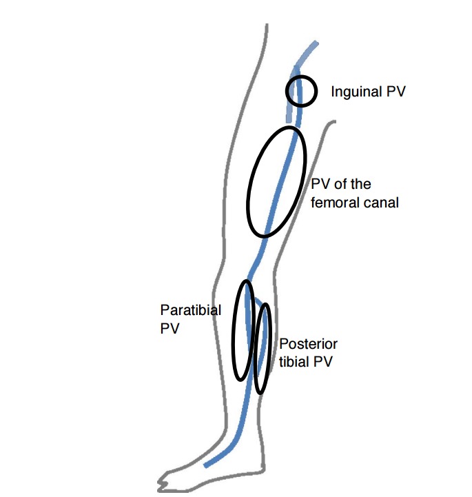 Fig. 9.